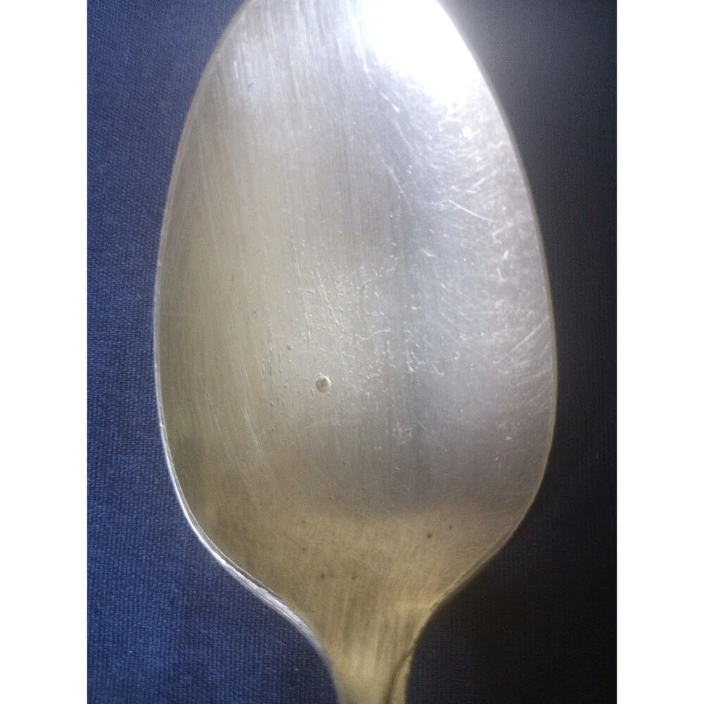 ONEIDA Ltd. Silverplate, 1948, Wm A Rogers, Discontinued Brittany Rose pattern